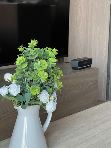 Brand New Condo for Rent – Canvas Cherngtalay
