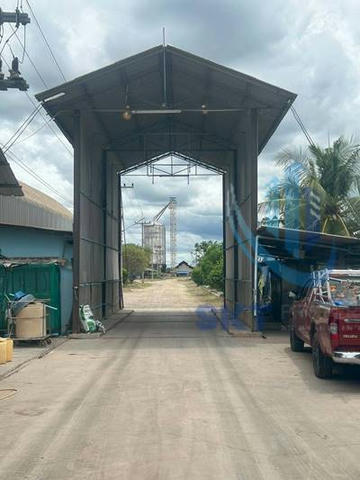for sale Pig farm ( Tek_00016 )