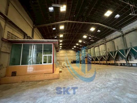 for sale Pig farm ( Tek_00016 )