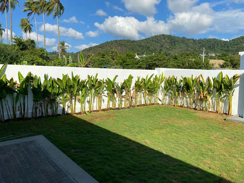 House Phuket ( Tek_00058 )