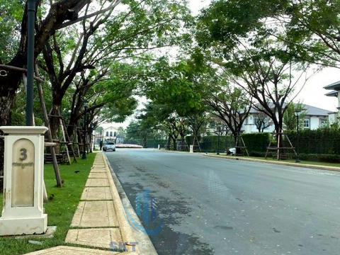 Nantawan Ramintra-Phahonyothin 50 ( Tek_00003 )