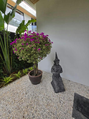 Ready to move in villa at Layan Phuket ( Tek_00068 )