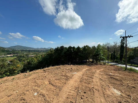 Vacant Land for Sales Seaview On the area of ​​Chalong Subdistrict, Mueang District, Phuket Province, Soi Phra Yai (Soi Yot Sane 1) ( Tek_00067 )