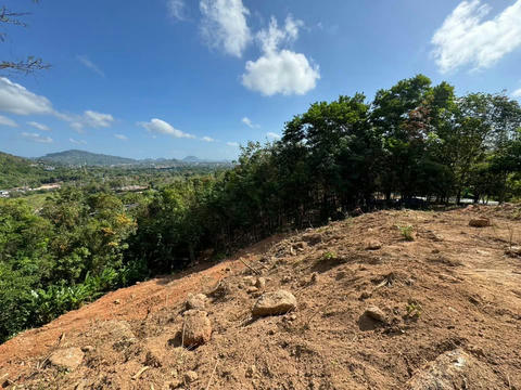 Vacant Land for Sales Seaview On the area of ​​Chalong Subdistrict, Mueang District, Phuket Province, Soi Phra Yai (Soi Yot Sane 1) ( Tek_00067 )